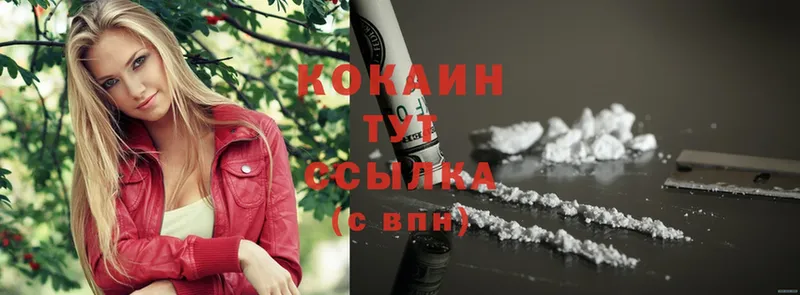 Cocaine Эквадор  OMG как войти  Бокситогорск 